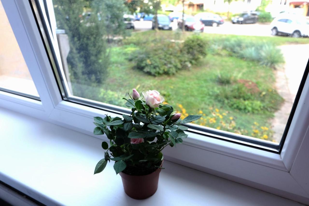 Apartamento Jaukus Koko Butas 1 Aukste Kaunas Exterior foto